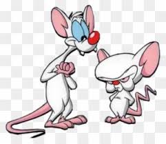 Pinky (comparative pinkier, superlative pinkiest). Pink Cartoon Brain Download Pinky And The Brain Cartoon Brain Tattoo Pinky Cartoon Brain