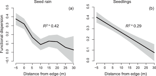 Image result for Landolphia landolphioides