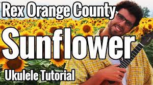 Rex Orange County Sunflower Ukulele Tutorial With Play Along Ukulele Tutorial Ukulele The Learning Experience