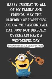 Tuesdays are beautiful until you remember that you are still two days away from friday. Tuesday Morning Quotes And Sayings With Pictures