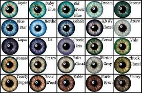Mine Are Either Azure Or Winter Grey Eye Color Chart Eye Color Writing Tips