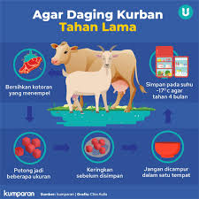 Memasak daging dengan mudah tanpa alot dan bau, bisa kamu lakukan kamu harus meperhatikan cara mebersihkan daging hingga daging sapi dan kambing juga memiliki banyak manfaat untuk kesehatan. 5 Tips Memasak Daging Kambing Agar Tidak Alot Dan Bau Prengus Kumparan Com