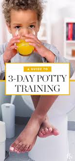 How the 3-Day Potty Training Method Played Out