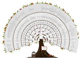 Vous pouvez alors vous offrir un bel arbre en couleurs, soit par téléchargement gratuit au format pdf, soit imprimé professionnellement pour un tarif défiant toute concurrence ! Faites Imprimer Votre Arbre Genealogique Circulaire Cdip Boutique Logiciel De Genealogie Et Scrapbooking
