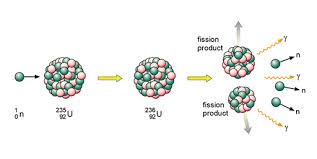 The maximum permitted radiation leakage for a nuclear plant is equal to 2500 banana doses (250 microsieverts) per year. Week 1 Into The Atom 1 3 3 What Is Fission Openlearn Open University Oufl 18