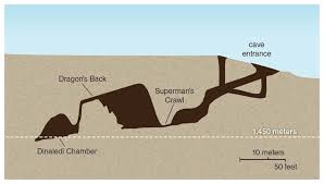 Berger rounded up the international team of. Aufgabe Abitur Homo Naledi Disappointment Homo Naledi Is Younger Than Previously Homo Naledi Extinct Species Of Hominin Known From 1 500 Fossil Specimens From A Cave Complex In South Africa Roda Dunia