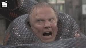 Anaconda — the mighty one from the swamp. What is the lifestyle of the  world's largest snake?