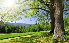 Nature screensavers software free downloads and reviews at winsite. 2048x1536px Free Download Hd Wallpaper Nature Screensavers And 1920x1200 Wallpaper Flare