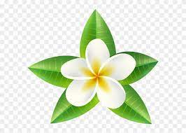 The clipart graphics will help to create beautiful and fresh design of wedding and baby shower stationery , printable for wall decor, nursery wallpapers and all designs, planners, photo books, scrapbooking projects, blog and web designs. Clip Art Transparent Library Exotic Flower At Getdrawings Tropical Flowers Png 185093 Pikpng