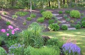 Fieldstone steps to the back yard are accented with hostas, ferns, and various boxwood cultivars. 10 Landscape Ideas For Sloped Yard Spaces Bees And Roses