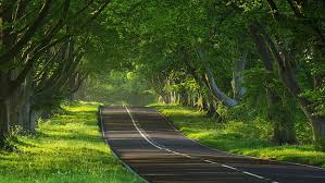 Hd Wallpaper Download Nature Full Size 1920x1080 Wallpaper Flare Hd wallpapers for laptop collection is updated regularly so if you want to include more please send us to publish.