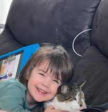 Lost pet near Renaissance Dr