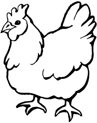 Kumpulan berbagai gambar sketsa ayam. Mewarnai Ayam Betina Kumpulan Contoh Soal 1
