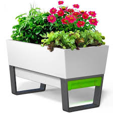 Maybe you would like to learn more about one of these? Self Watering Planter Box