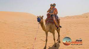 Camel ride is one of the famous transportation. Camel Ride In Dubai Where To Ride A Camel In Dubai