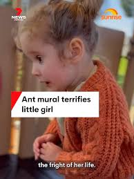 A young girl gives hilarious reaction after being scared by an ant mural.  #antmural#funnyreaction#7NEWS