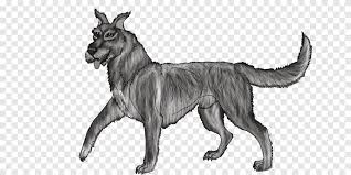 For centuries the borzoi could not be purchased but only given as gift from the tsar. Deutscher Schaferhund Des Englischen Mastiffs Des Irischen Wolfshundes Deutsche Dogge Barsoi Welpe Tiere Borzoi Png Pngegg