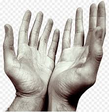 Download Hands Praying Open Png Images Background Toppng Search more hd transparent open hands image on kindpng. download hands praying open png images