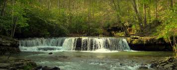 •cellular communicaions are not always reliable in the park. Camp Creek State Park 2 Photos Camp Creek Wv Roverpass