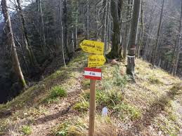 Toppen på zwillingskogel är 1 402 meter över havet, eller 299 meter över den omgivande terrängen. Fotogalerie Tourfotos Fotos Zur Wandertour Zwillingskogel Aus Dem Hauergraben Oberosterreich Oberosterreichische Voralpen Alpintouren Com