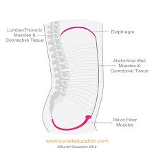 Post Natal Core Restore Why The Breath Comes First Burrell Education Pelvic Floor Pelvic Floor Exercises Pelvic Floor Muscles
