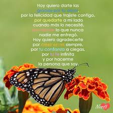 Gracias Por Existir Y Por Hacerme Tan Feliz A Tu Lado Gracias Por Todo Amor Poemas De Amor Frases De Boda