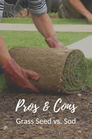 Check spelling or type a new query. Grass Seed Vs Sod Reasons To Seed Your Lawn Or Use Sod Instead Gardening Know How S Blog