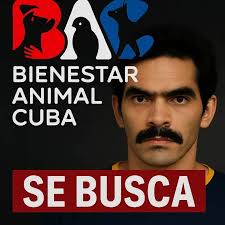 Sociedad protectora de animales en Cuba