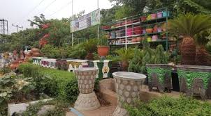 African daisy comes in brilliant shades of white, yellow, and orange. Flower Pots For Indoor Outdoor Plants In Abuja Nigeria Cool Breeze Garden