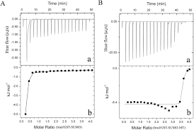 Online filmy v cz dabingu zdarma ke shlédnutí. Prevention Of Gastrointestinal Lead Poisoning Using Recombinant Lactococcus Lactis Expressing Human Metallothionein I Fusion Protein Scientific Reports