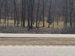 Offers free delivery to firewood can be delivered throughout the state. Highway Logs Are Not Free Firewood