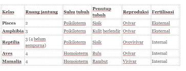 Maybe you would like to learn more about one of these? Kingdom Animalia Ciri Klasifikasi Gambar Dan Contohnya