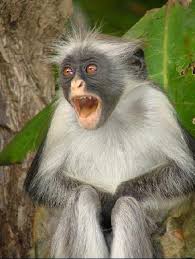 How to pass a lie detector test | inverse подробнее. How To Cheat A Polygraph Test 6 Steps Instructables