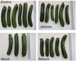 It can be expensive to keep a pet healthy these days. Development Of A Smartphone Application For Assessment Of Chilling Injuries In Zucchini Sciencedirect