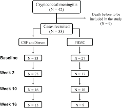 Patient Flow Chart Distribution Of Hiv Infected Patients In