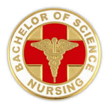 HCI College - Fully Online BSN Program Opens Doors for Busy Career ...