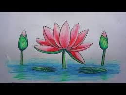 How To Draw Beautiful Water Lily Easy Art Using Pencil Oil Pastel Water Lily Drawing Lilies Drawing Lotus Art