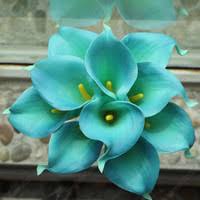 Check spelling or type a new query. Teal Flowers Wish