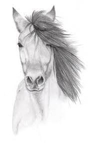 This is a fun guide to drawing adorable cartoon animals from circles. Image Result For Easy Pencil Drawing Pencil Drawings Easy Pencil Drawings Pencil Drawing Images