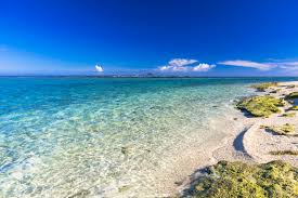 Image result for 沖縄の海