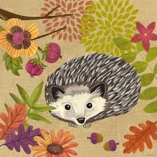 Medium Hedgehog Illustration Hedgehog Art Animal Art