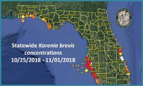 Today, sunday, march 7, 2021. Red Tide Data Resources For Florida Secoora
