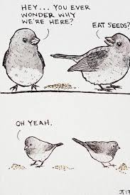 Eat Seeds Nihilism Quote Philosophy Memes Existentialism Philosophy