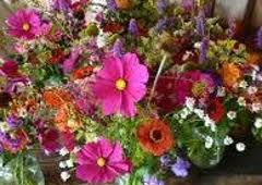 We would like to show you a description here but the site won't allow us. Charlotte S Fiesta Flowers 4404 Burnet Rd Austin Tx 78756 Yp Com