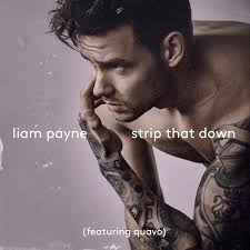 Liam Payne Feat. Quavo: Strip That Down (Music Video 2017) - IMDb