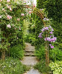 Image result for Clematis