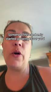 I am not trying to brag, I genuinely thought this was a thing!!! 🫣😬 ...