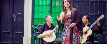 Image result for Fadogiella