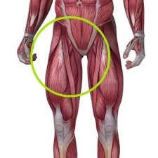 In human anatomy, the groin (the adjective is inguinal, as in inguinal canal) is the junctional area (also known as the inguinal region) between the abdomen and the thigh on either side of the pubic bone. Torn Groin Symptoms And Treatment I Could Be Out For 12 Weeks Creating Everlasting Memories