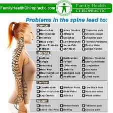 Pin On Chiropractic